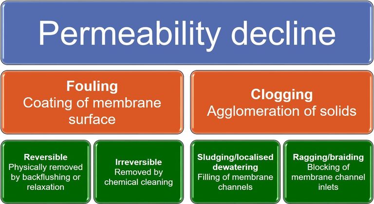 Definitions of fouling and clogging