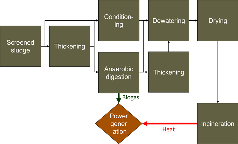 Flow diagram of sludge processing operations, from screened sludge to final disposal or incineration