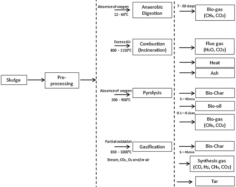 Figure 1.  Potential sludge-to-energy recovery routes