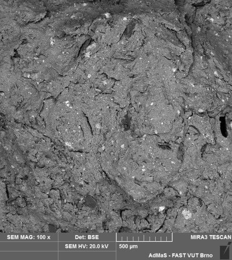 Figure 3.  SEM of biochar, indicating white deposits