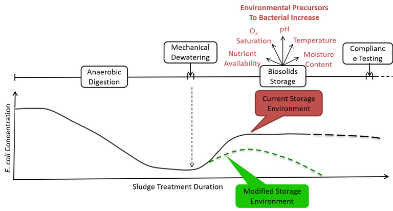 Figure 1.  Indicator micro-organism concentration transient in sludge treatment