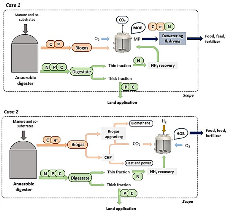 Figure 5.  Anaerobic digestion configured for C and N capture for microbial protein production (Verbeeck et al, 2020)