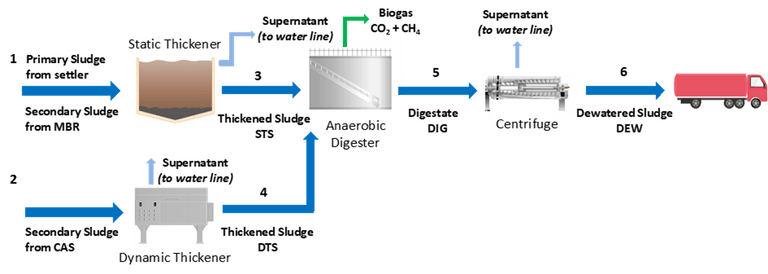 Fig. 2.  Scheme of Trento (Italy) municipal WWTP identifying four sludge samples