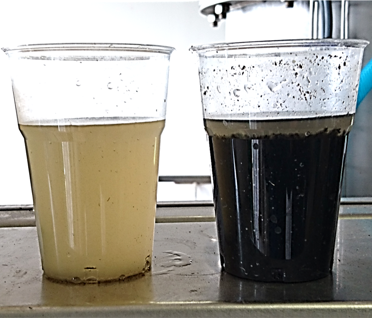 Fig. 4.  SP filtrate and acidified sludge samples