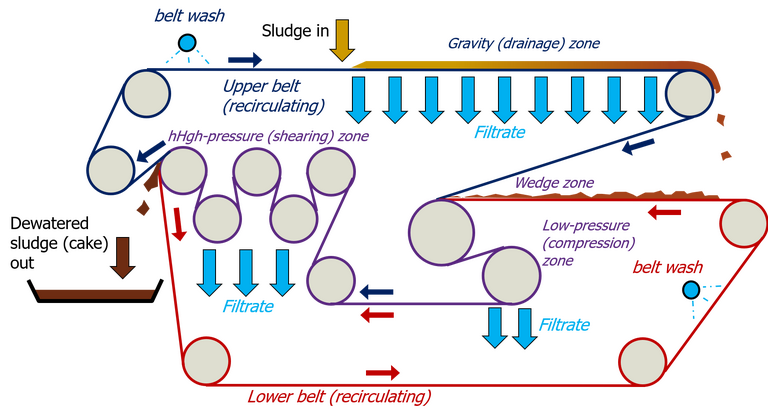 Belt filter press showing a series of rollers used to recirculate two belts which between which sludge is fed and water squeezed out under pressure
