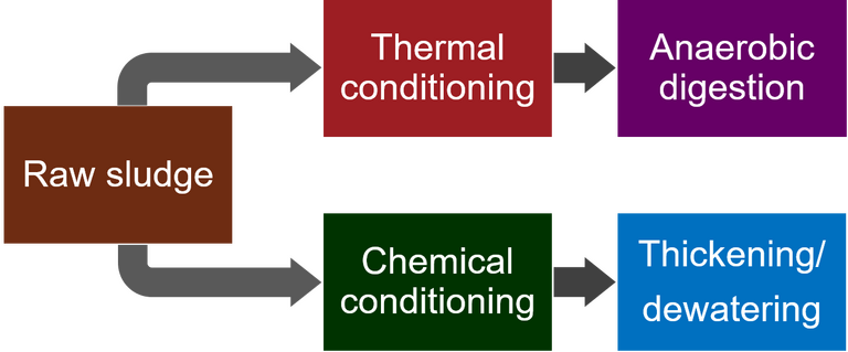 Processes for chemical conditioning and thermal conditioning of sewage sludge upstream of thickening/dewatering and anaerobic digestion