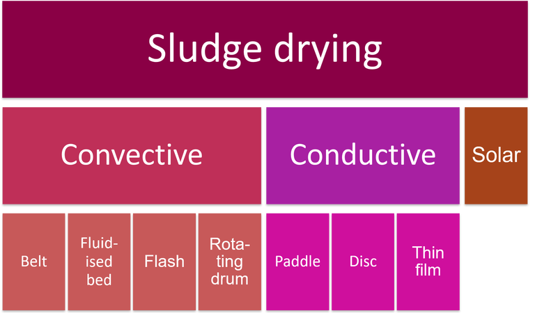 Hierarchy of sludge drying processes, showing convective and conductive dryers and including belt, fluidised bed, flash, rotating drum, paddle, disc and thin film dryers.