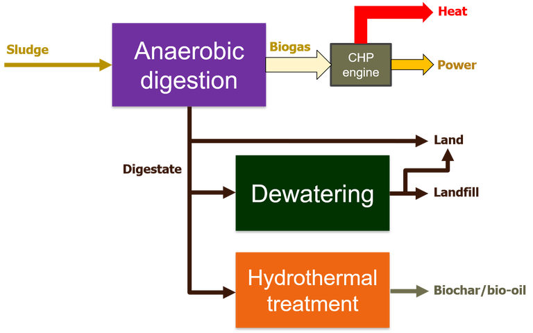 Flowsheet showing how anaerobic integrates with downstream processes of dewatering and hydrothermal treatment of the digestate stream, along with combined heat and power (CHP) for the biogas, for resource recovery