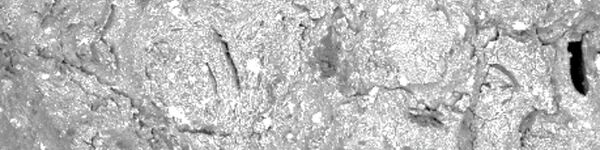 SEM image of biochar