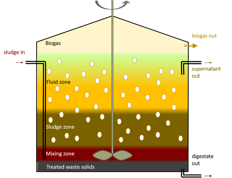 Image of anaerobic digester, showing five zones: the treated waste solids, mixing zone, sludge zone, fluid zone and biogas. The reactor is stirred and fed with the sludge. There are three outlet streams: the solid digestate, supernatant liquid and biogas