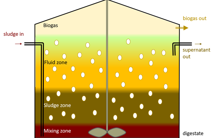 Image of anaerobic digester, showing five zones: the treated waste solids, mixing zone, sludge zone, fluid zone and biogas. The reactor is stirred and fed with the sludge. There are three outlet streams: the solid digestate, supernatant liquid and biogas