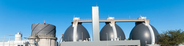 Anaerobic digester treating sludge on a wastewater treatment plant