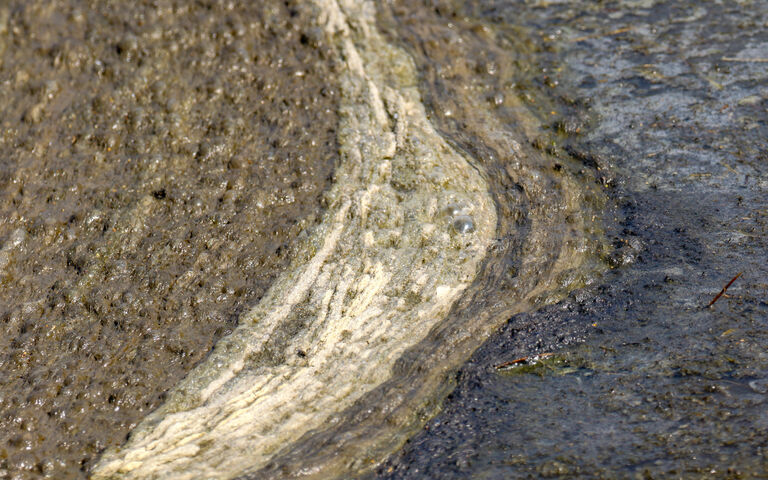 Image of wet sludge, indicating gradual movement