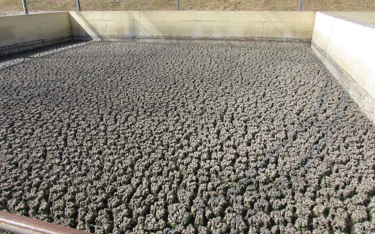 Foaming sludge in a rectangular concrete tank