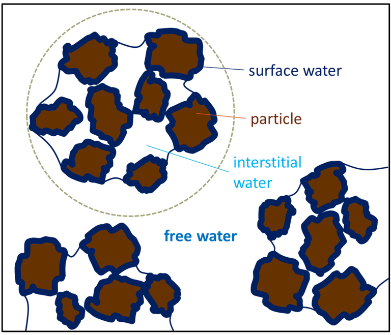 Sludge water fractions for flocs and particles:  surface water, floc water, interstitial water and free water