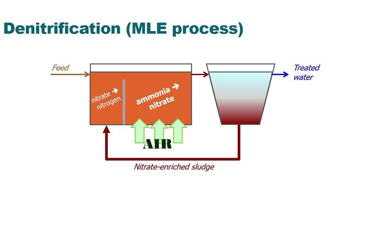 Biological nutrient removal via conventional denitrification/nitrification