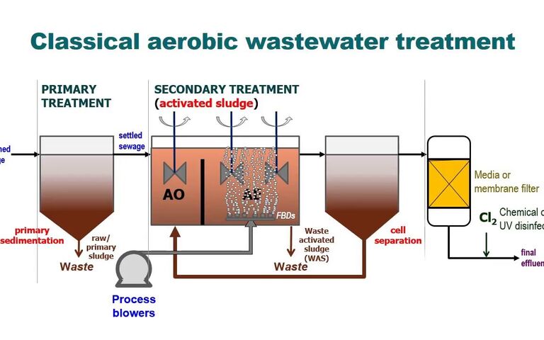 Conventional activated sludge (CAS) process